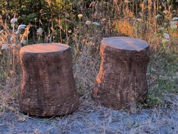 Earth colored handmade organic concrete stools or end tables sitting in garden