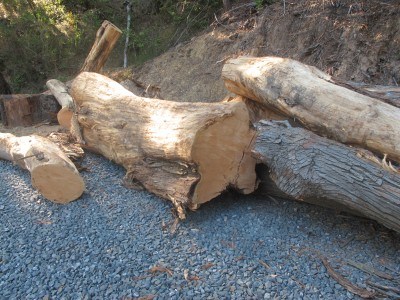 An example of the raw, reclaimed Cypress Brad manipulates into completed tables