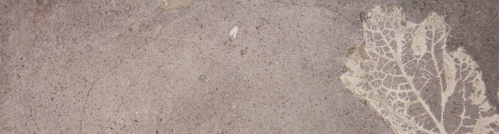 Dust