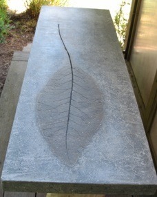 concrete console table top or bench with large fossil like inula leaf impression