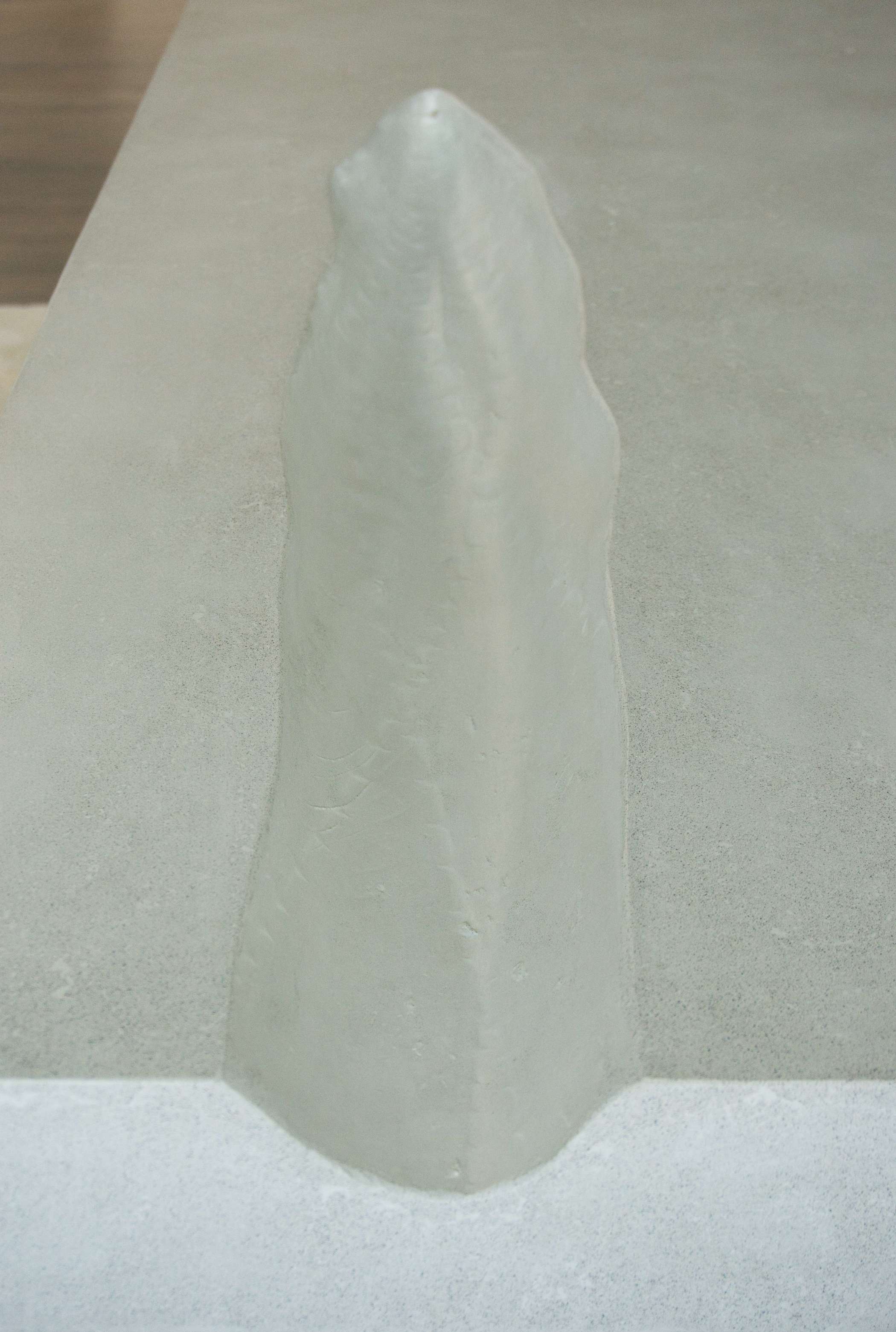 closeup of rectangular thick white concrete coffee table with sculptural agave blade impression in top