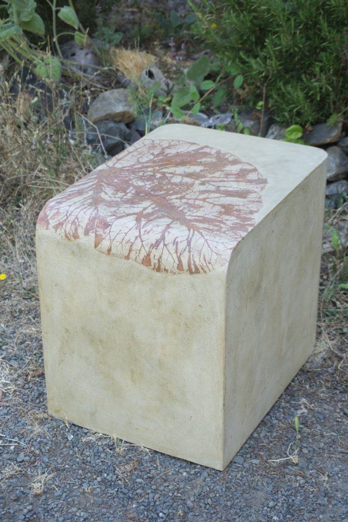 concrete couch table with red rhubarb leaf impression