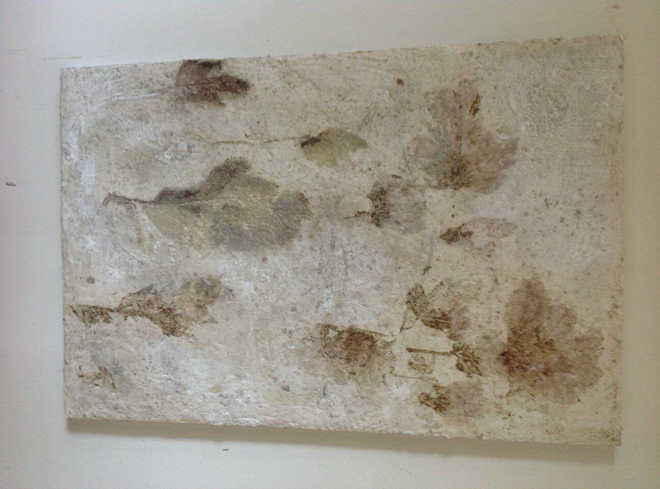 concrete panel with various abstract leaf impressions
