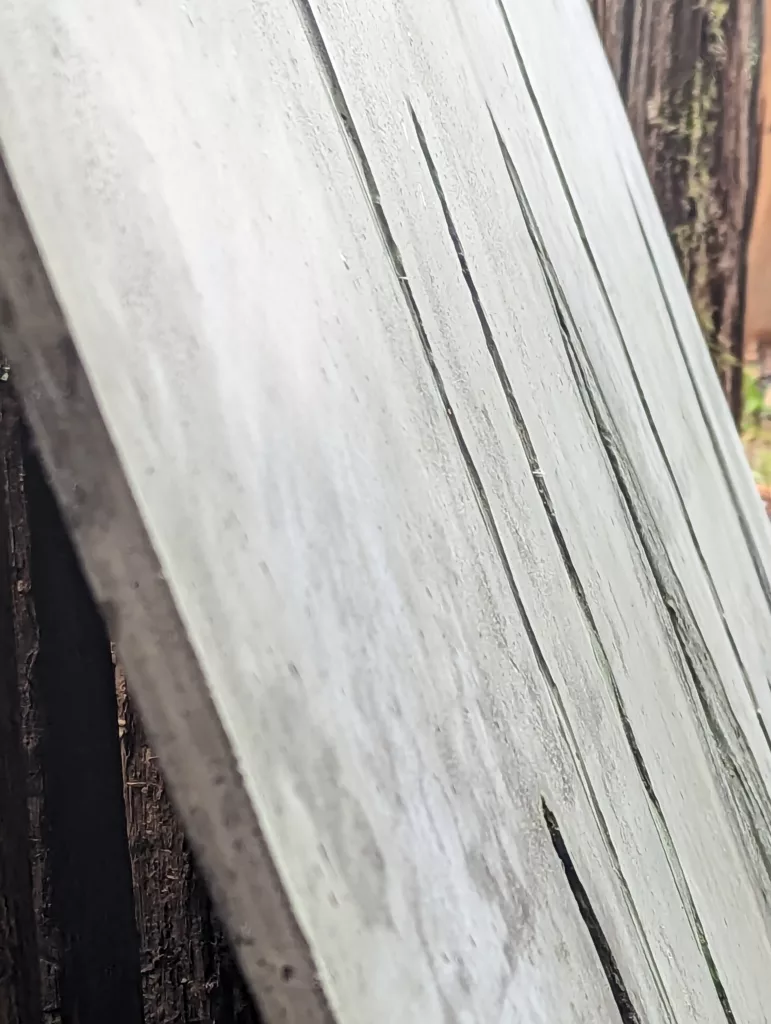side shot of 1/2" concrete panels with grass and echium imprints